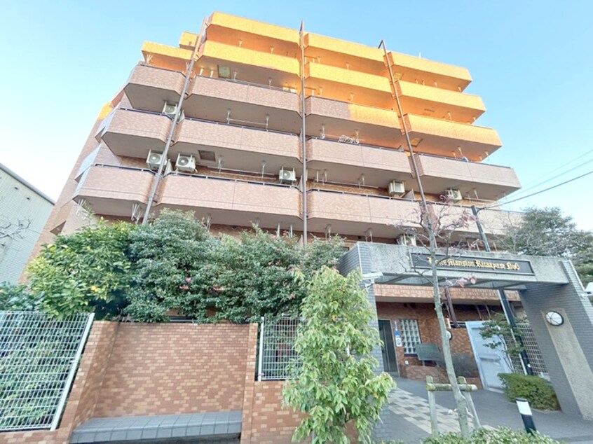 外観写真 ﾗｲｵﾝｽﾞﾏﾝｼｮﾝ北綾瀬第６(104)