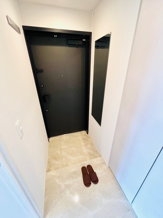 玄関 ルフォンプログレ田原町