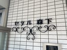 その他 セシル森下