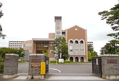 一橋大学小平国際キャンパス(大学/短大/専門学校)まで230m メゾンドロ－ブ