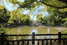 碑文谷公園(公園)まで700m フラワ－ガ－デン鷹番