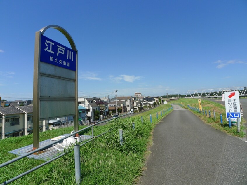 江戸川河川敷(公園)まで585m 第３いちやまハイツ