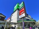 サミット(スーパー)まで576m ＥＡ五反野