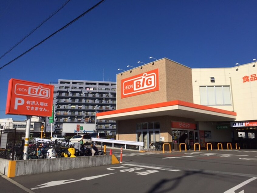 The Big(ザ・ビッグ) 平塚真田店(スーパー)まで762m ハイツ　コスモス