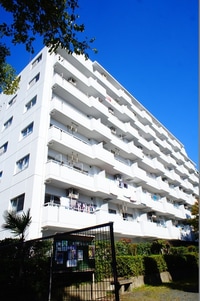 ｺｽﾓ海老名ｳｯﾄﾞｽｸｴｱ（３０３）