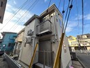 その他 ウィステリアひばり