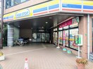 ミニストップ(コンビニ)まで506m ウィステリアひばり