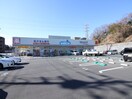 ウェルシア　八王子東中野店(ドラッグストア)まで804m アースパックス　２号棟