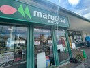 マツエツ(スーパー)まで550m ハナテラス竹ノ塚