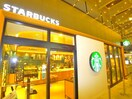 スターバックス(カフェ)まで650m ハナテラス竹ノ塚