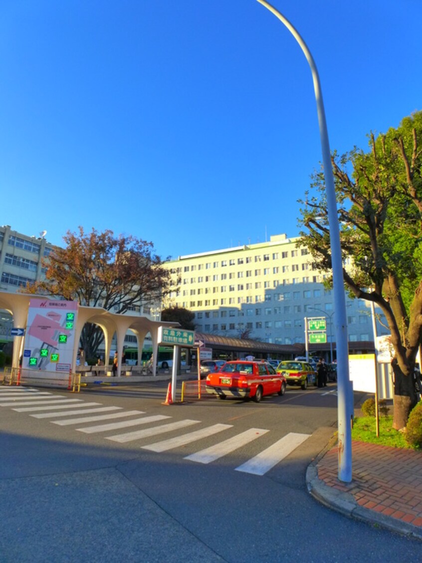 日本大学板橋病院(病院)まで497m ラベンダ－ガ－デン