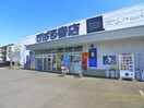 すばる書店(本屋)まで618m ネオハウス井上