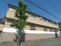 完成写真