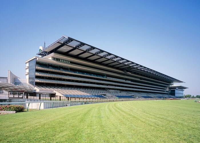 東京競馬場(公園)まで950m アザーレ・ターコイズ府中本町B