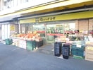肉のハナマサ　文京動坂店(スーパー)まで470m モンテ駒込