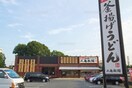 丸亀製麺 立川店(その他飲食（ファミレスなど）)まで280m ロアジスサカイ