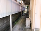エントランス部分 ジョイハイツ　Ｃ