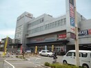 東武ストア(スーパー)まで183m カーサ大森C(318)