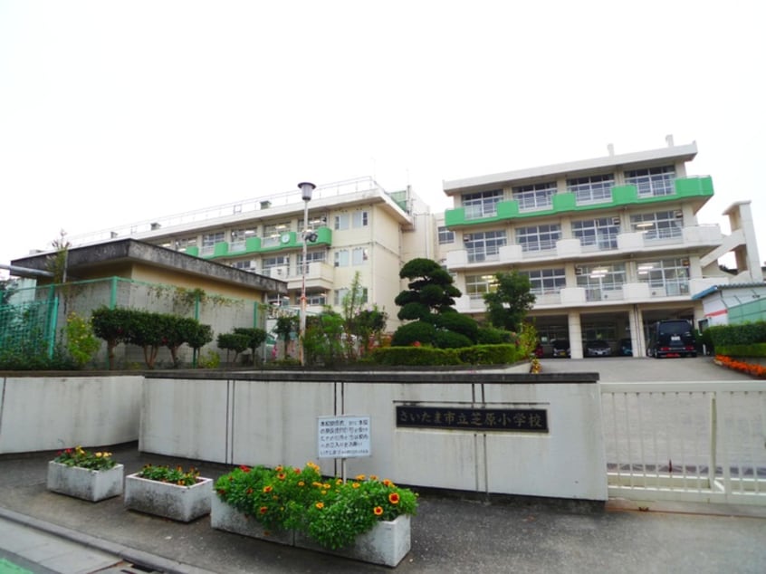 芝原小学校(小学校)まで220m エルディムウチダ