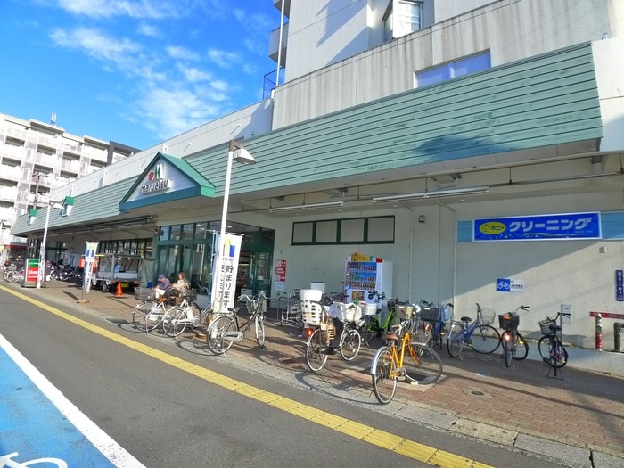 マルエツ(スーパー)まで520m イルマーレ