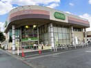 コープみらい(スーパー)まで290m CASA TERCERO
