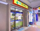 ぱぱす薬局　浅草4丁目店(ドラッグストア)まで687m ﾌﾟﾗｳﾄﾞﾌﾗｯﾄ浅草ﾄﾚｻｰｼﾞｭ