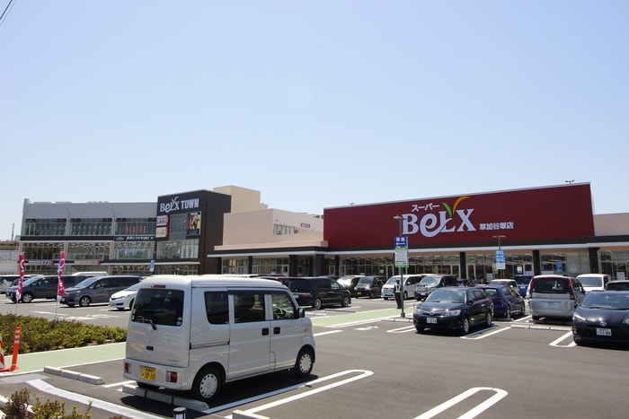 ベルクス(スーパー)まで757m サンハイムⅡ