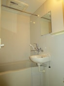 バス／シャワールーム等 カスタリア新富町Ⅲ