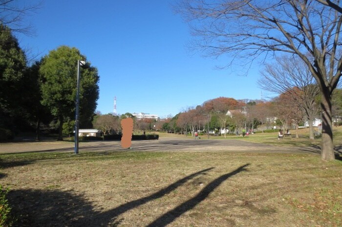 山田富士公園(公園)まで556m カーサ・パルマス