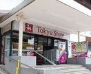 東急ストア　清水台店(スーパー)まで407m 二光荘