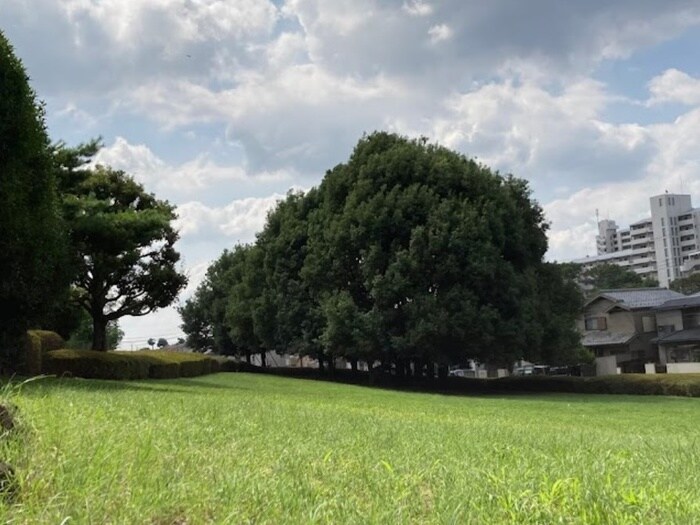 みはらしやま公園(公園)まで350m 第12カネキマンション