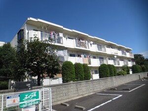 シティーハイム石原