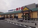 すし銚子丸 狛江店(その他飲食（ファミレスなど）)まで1000m ＡＩＲＡ