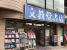 文教堂書店梶ケ谷店(本屋)まで484m ソレイル梶ヶ谷Ⅱ