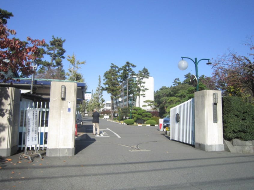 相模女子大(大学/短大/専門学校)まで376m アメイジングハイツ