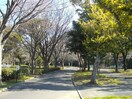 野島公園(公園)まで296m Ｙ．Ｄ晴嵐荘