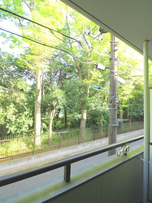 室内からの展望 カレド・セルクル