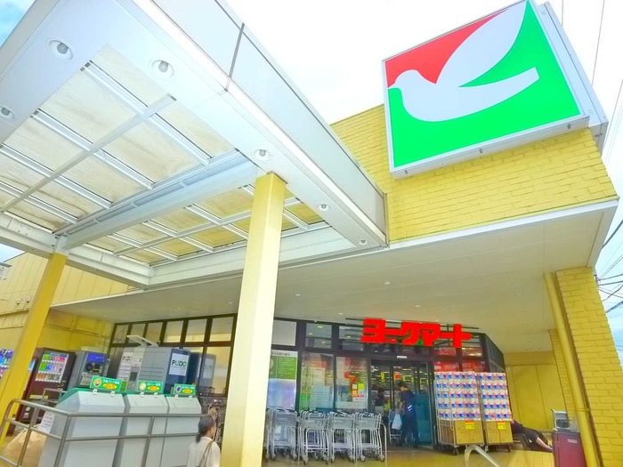 ヨークフーズ(スーパー)まで130m Gracious