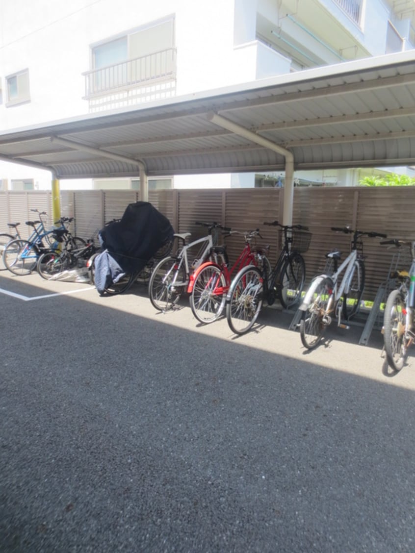 駐輪場 アマルフィ