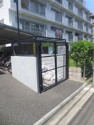 その他 アマルフィ