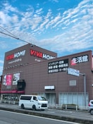 ビバホーム草加店(電気量販店/ホームセンター)まで700m ＴＳハイツ