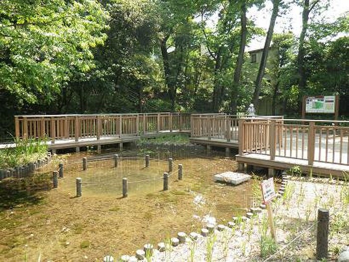 上野毛自然公園(公園)まで1000m 陽光荘