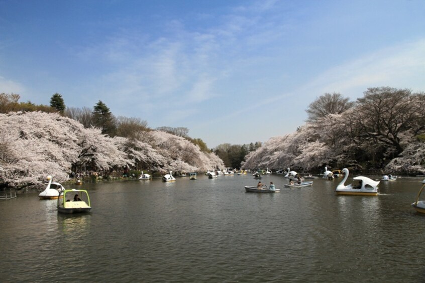 井の頭公園(公園)まで600m サンロ－ズ三鷹台Ａ棟