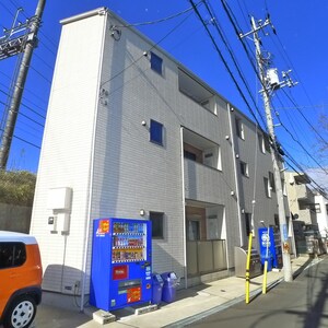 ルピナス柏