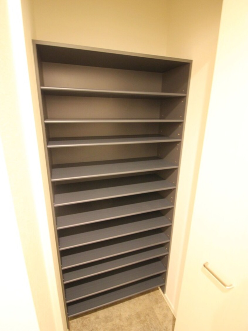 靴箱 スターリーフラットB