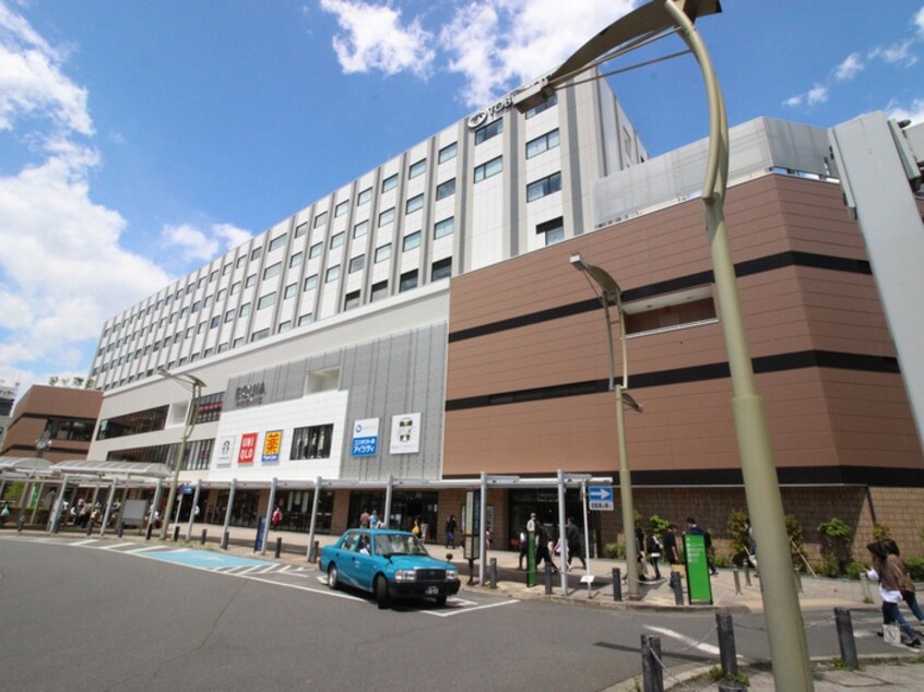 EQIA(その他飲食（ファミレスなど）)まで650m スターリーフラットB