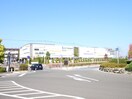 ららぽーと富士見(ショッピングセンター/アウトレットモール)まで1500m 仮)富士見市鶴馬２丁目新築AP