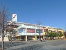 ステラタウン(ショッピングセンター/アウトレットモール)まで1200m 末広ビル