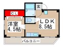 白十字ビルの間取図