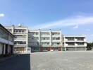 新井中学校(中学校/中等教育学校)まで800m そらテラス横浜西谷